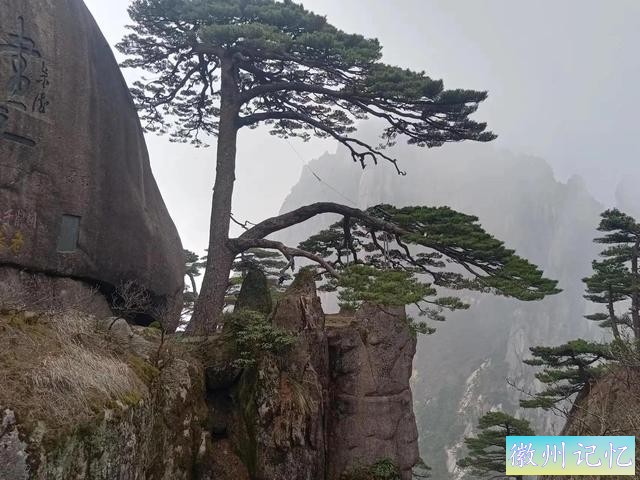 到黄山去玩系列（之九）爬黄山，登临莲花峰光明顶！-6.jpg