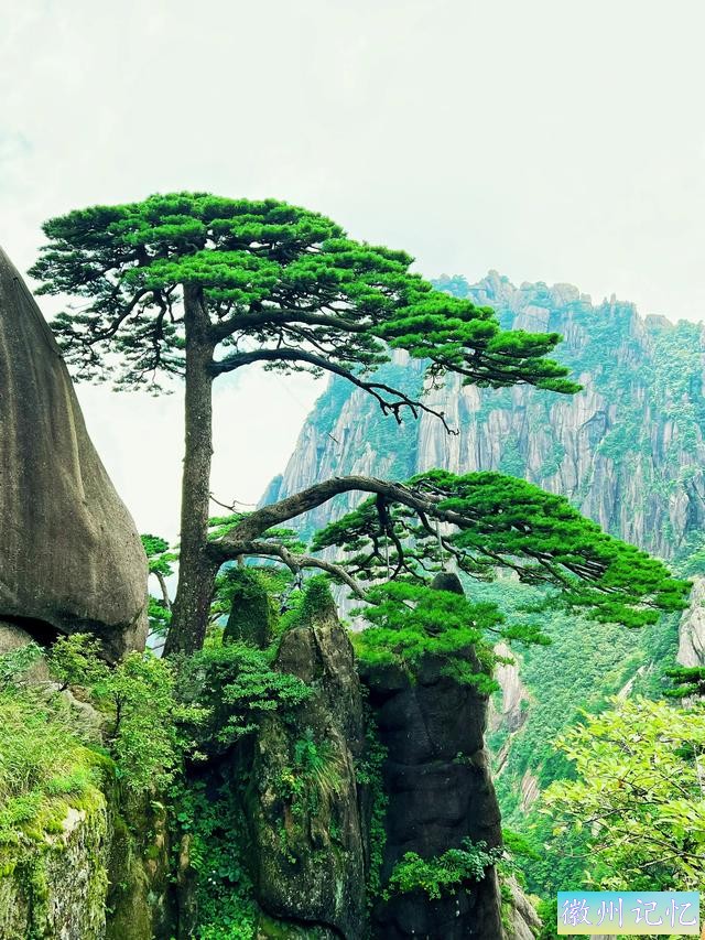 黄山｜两遍光明顶的保姆级避坑指南-1.jpg