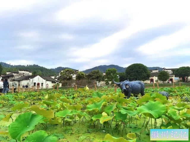 皖南自驾游：西递-7.jpg