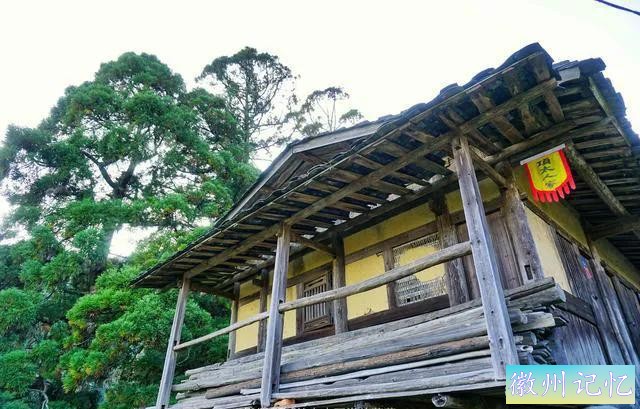 福建三明莲花峰：百年柳杉，千年酒村，修仙打卡地-3.jpg