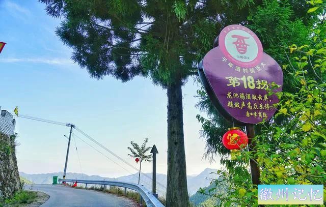 福建三明莲花峰：百年柳杉，千年酒村，修仙打卡地-2.jpg
