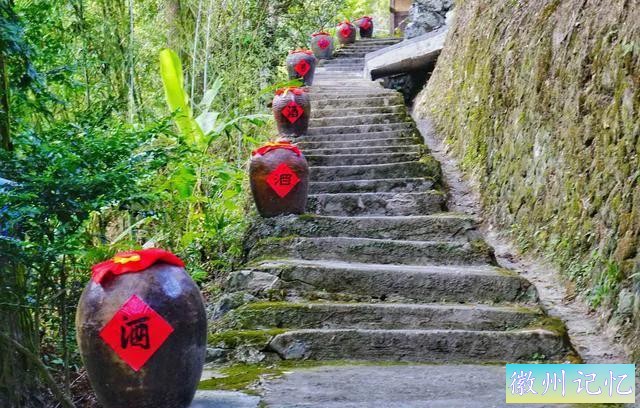 福建三明莲花峰：百年柳杉，千年酒村，修仙打卡地-10.jpg