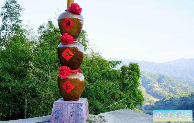 福建三明莲花峰：百年柳杉，千年酒村，修仙打卡地-11.jpg
