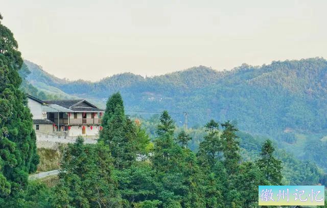 福建三明莲花峰：百年柳杉，千年酒村，修仙打卡地-15.jpg