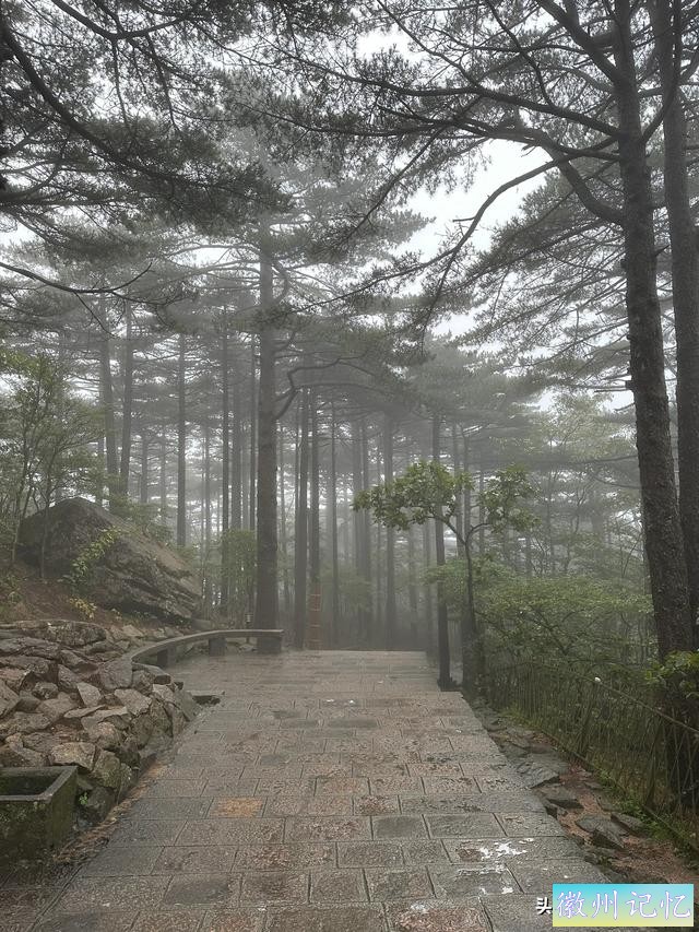出游第六天：冒雨攀登黄山•莲花峰，拍照打卡三秒钟-2.jpg