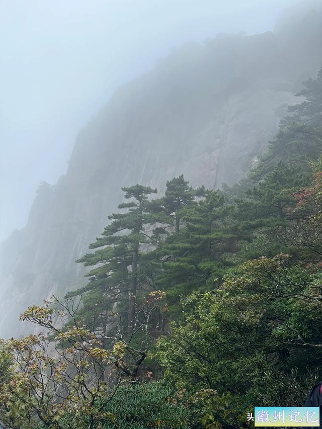 出游第六天：冒雨攀登黄山•莲花峰，拍照打卡三秒钟-16.jpg