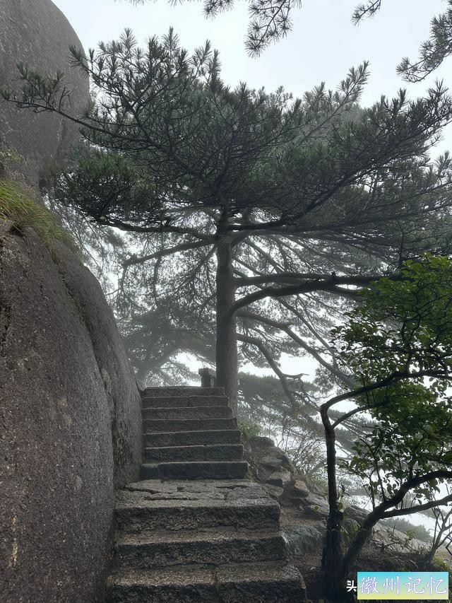 出游第六天：冒雨攀登黄山•莲花峰，拍照打卡三秒钟-17.jpg