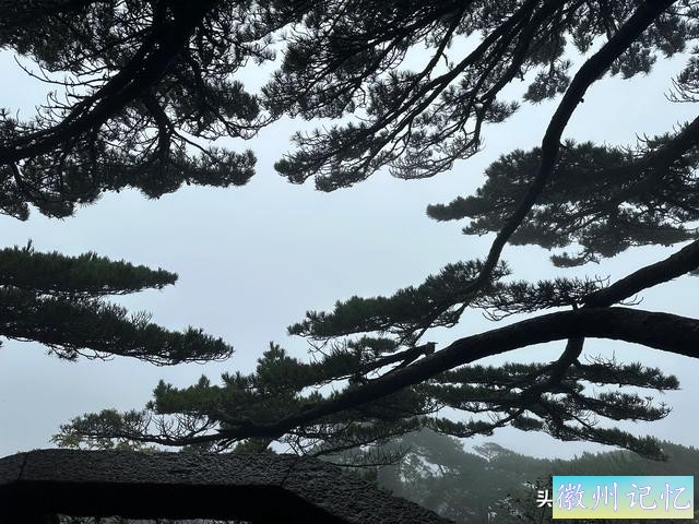 出游第六天：冒雨攀登黄山•莲花峰，拍照打卡三秒钟-19.jpg