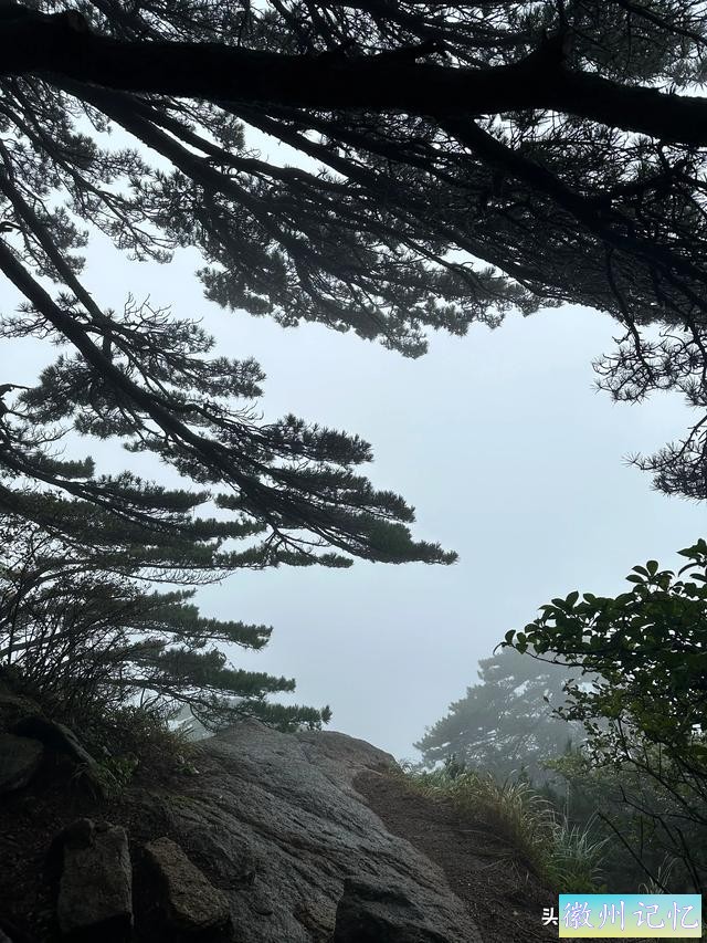 出游第六天：冒雨攀登黄山•莲花峰，拍照打卡三秒钟-18.jpg