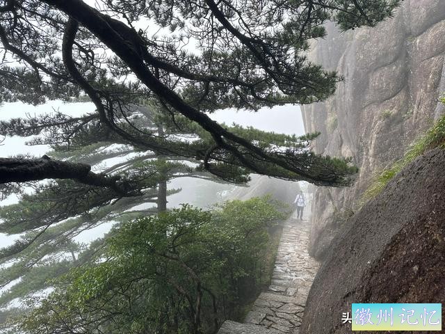 出游第六天：冒雨攀登黄山•莲花峰，拍照打卡三秒钟-20.jpg