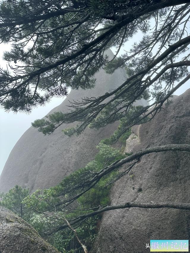 出游第六天：冒雨攀登黄山•莲花峰，拍照打卡三秒钟-21.jpg