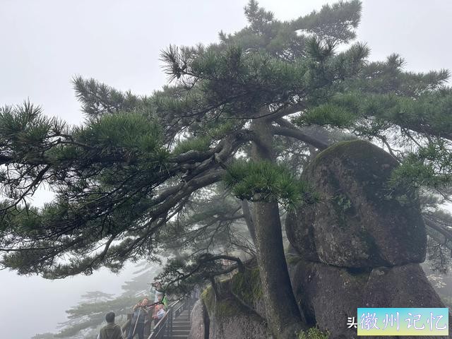 出游第六天：冒雨攀登黄山•莲花峰，拍照打卡三秒钟-32.jpg