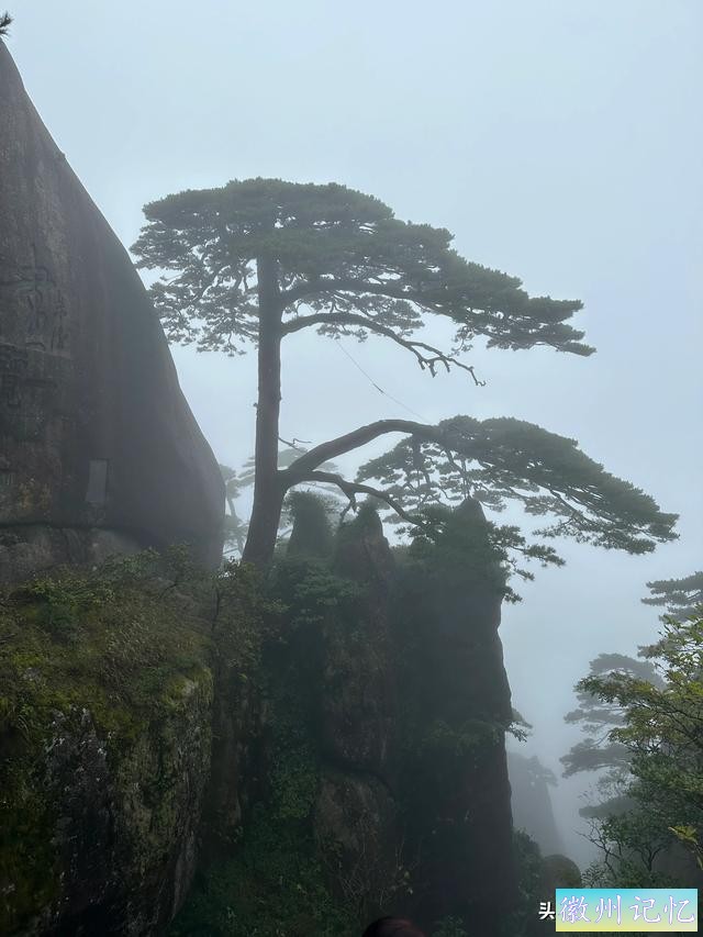出游第六天：冒雨攀登黄山•莲花峰，拍照打卡三秒钟-36.jpg