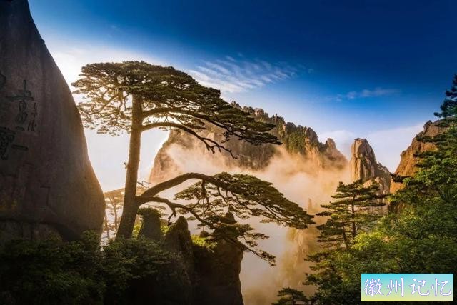 迎客松，岁月中的绝美风姿-7.jpg