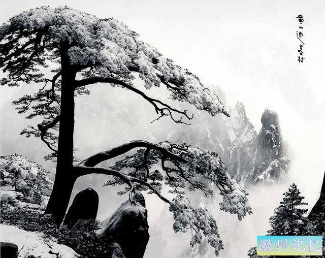 迎客松美图集锦：带您走进“国宝”的一年四季-13.jpg