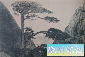 迎客松1300多岁了！是谁日夜守护着她？甚至不能连睡超2小时-1.jpg