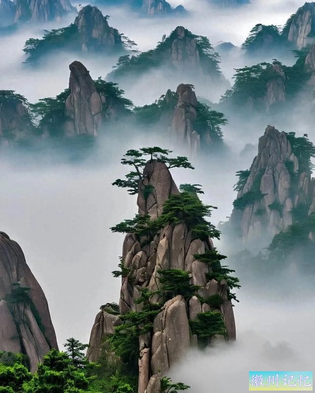 气死（黄山）莲花峰你这是让我忍多久-1.jpg