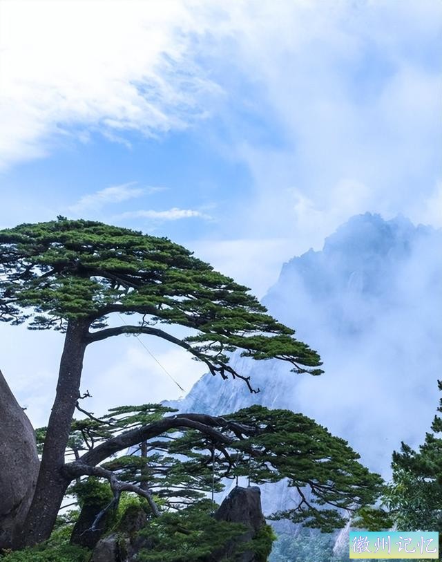 “5.20”黄山——徒步慈光阁、天都峰、迎客松-6.jpg