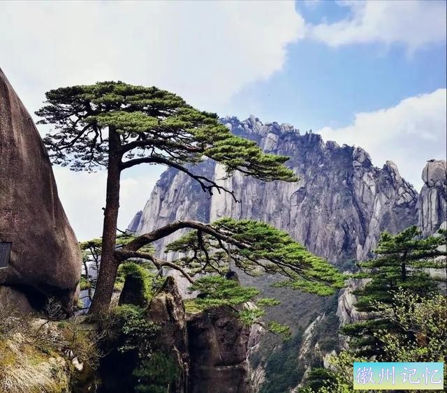 分享——黄山迎客松美图-26.jpg