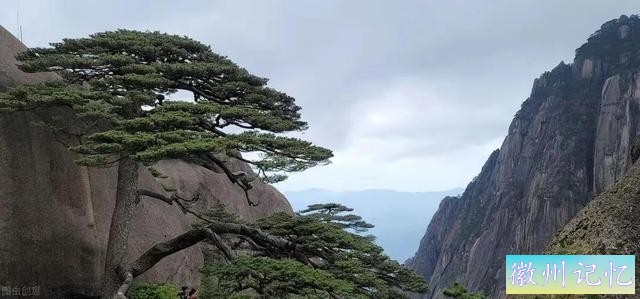 分享——黄山迎客松美图-55.jpg