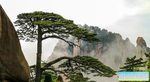 分享——黄山迎客松美图-73.jpg