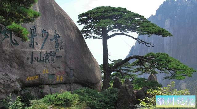 全国唯一配有“保镳”人员的树木，黄山迎客松-3.jpg