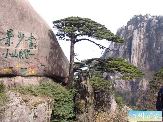全国唯一配有“保镳”人员的树木，黄山迎客松-2.jpg