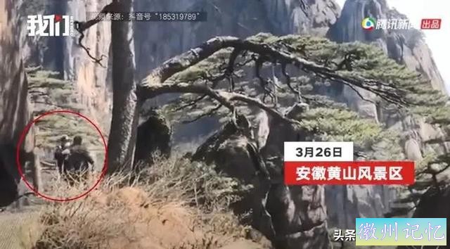 黄山迎客松被游客强行“亲近”，官方发话：请文明游园！本来，迎客松从80年代开始就被专人守护-2.jpg