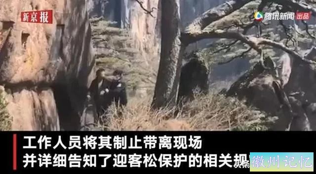 黄山迎客松被游客强行“亲近”，官方发话：请文明游园！本来，迎客松从80年代开始就被专人守护-5.jpg