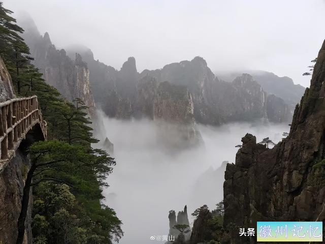 黄山迎客松被游客强行“亲近”，官方发话：请文明游园！本来，迎客松从80年代开始就被专人守护-9.jpg