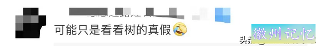 黄山迎客松被游客强行“亲近”，官方发话：请文明游园！本来，迎客松从80年代开始就被专人守护-20.jpg