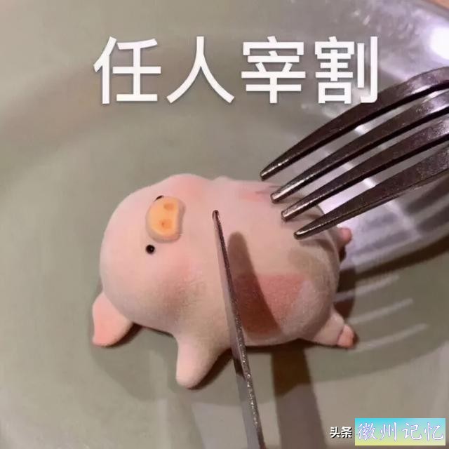 黄山迎客松被游客强行“亲近”，官方发话：请文明游园！本来，迎客松从80年代开始就被专人守护-25.jpg