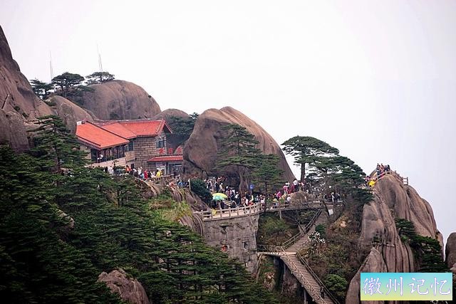 黄山迎客松-2.jpg
