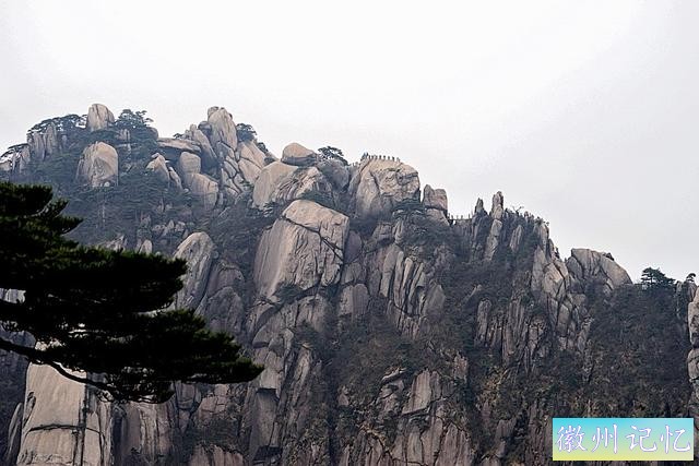 黄山迎客松-14.jpg