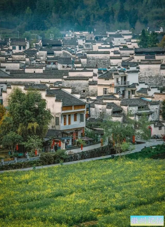 我发现西递真的优秀！-3.jpg