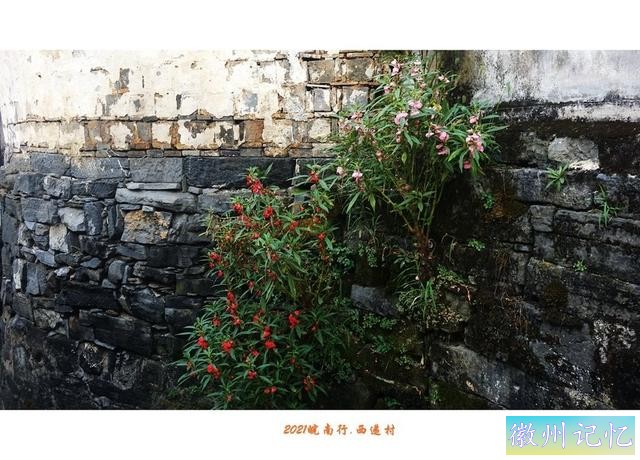 皖南行游影记（65）—西递村（四）-14.jpg