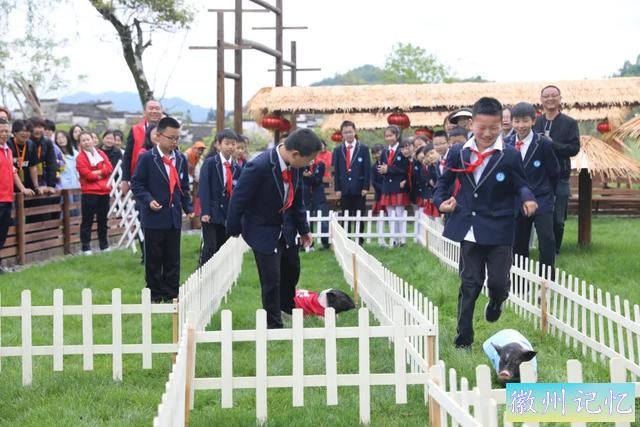 春游江淮 | 五一出游 西递、宏村新玩法 | 来徽州 上春山-15.jpg