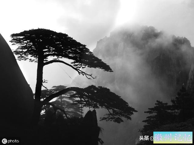 世界上最贵的一棵树，黄山迎客松，军人24小时专门守护-2.jpg