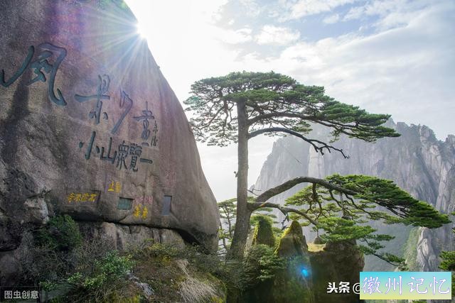 世界上最贵的一棵树，黄山迎客松，军人24小时专门守护-8.jpg