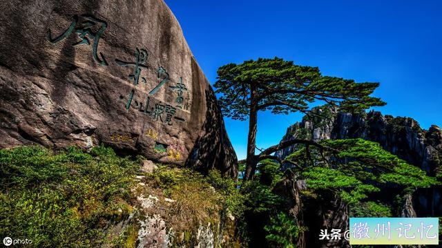 世界上最贵的一棵树，黄山迎客松，军人24小时专门守护-12.jpg