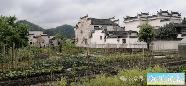 走遍中国旅行者白新雨到达安徽黟县，游览西递古村-20.jpg