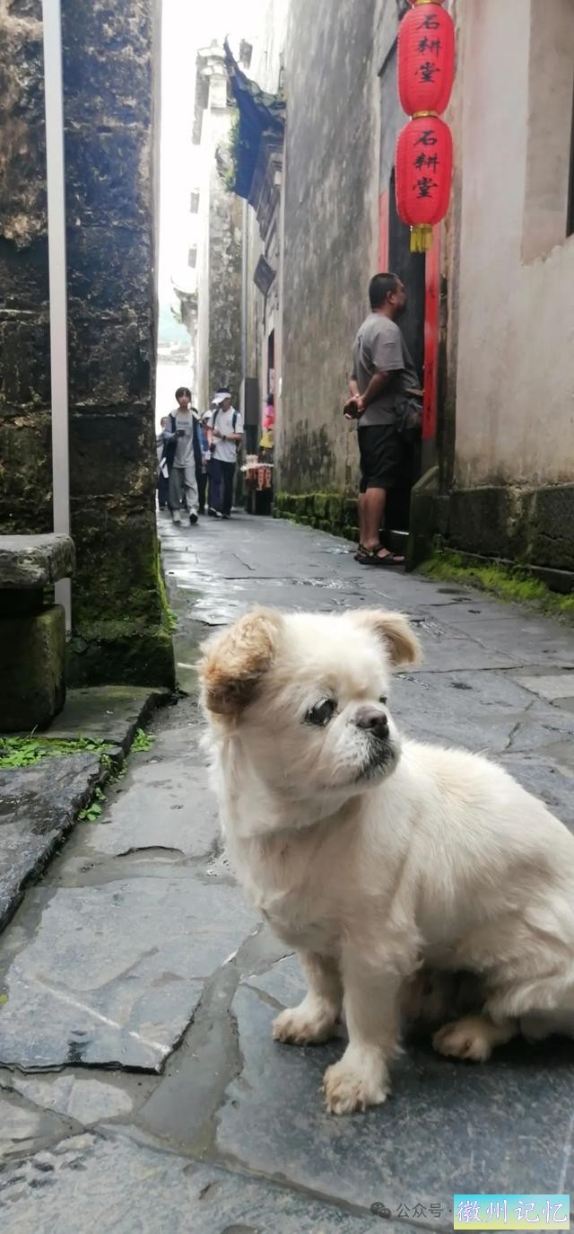 走遍中国旅行者白新雨到达安徽黟县，游览西递古村-39.jpg