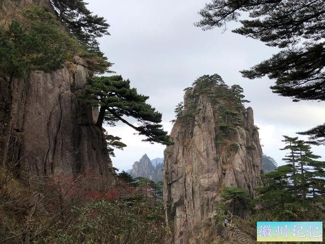 攀登黄山主峰之一、第二高峰，海拔1860米的光明顶-43.jpg