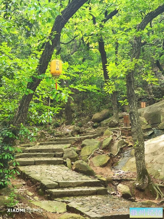 跟着锵锵行天下 带娃去户外之 苏州花山-莲花峰-天池山-7.jpg