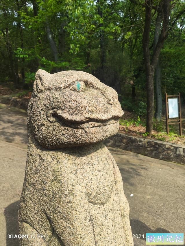 跟着锵锵行天下 带娃去户外之 苏州花山-莲花峰-天池山-13.jpg