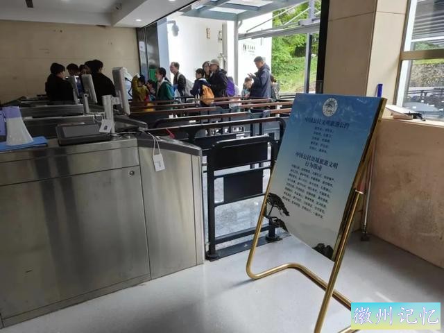 人人都是迎客松 黄山在行动-8.jpg
