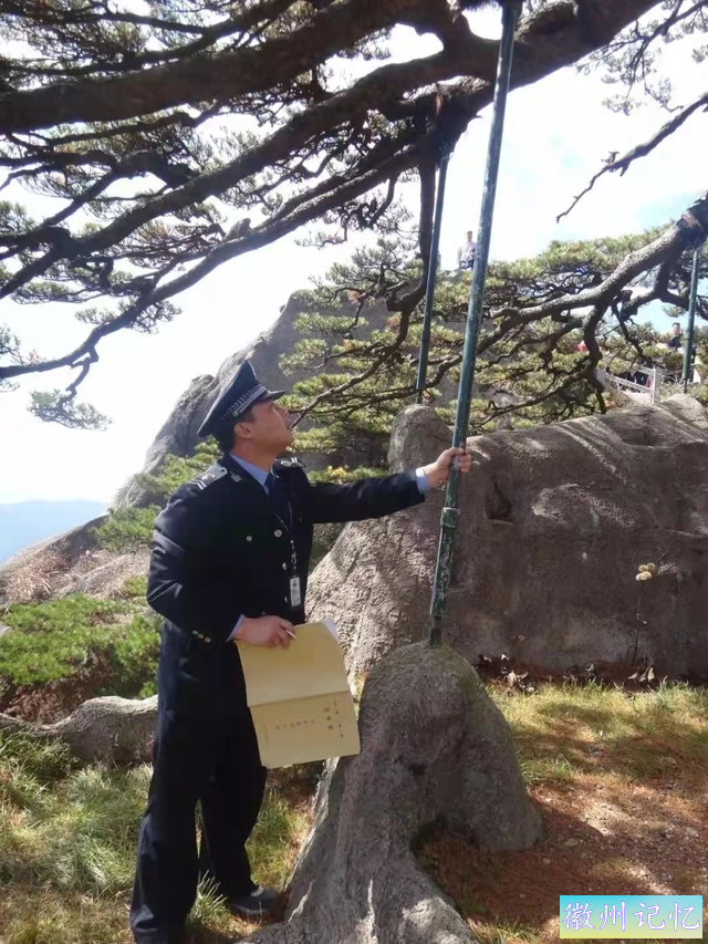 你所不知道的，黄山上还有这些“迎客松”-3.jpg