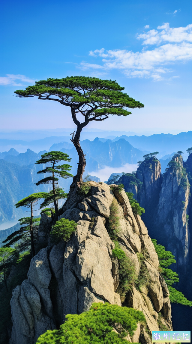 傲松奇不雅观——迎客松特写大图-4.jpg
