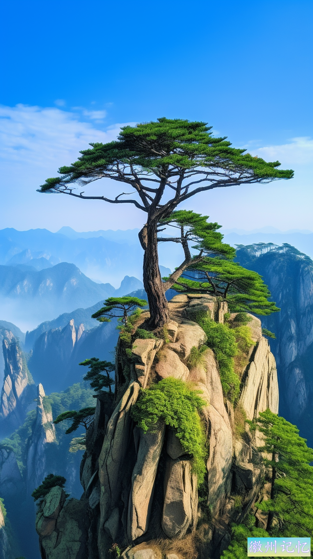 傲松奇不雅观——迎客松特写大图-20.jpg