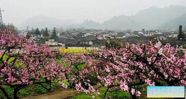 世界最佳旅游乡村西递“凤凰磐涅”的故事-1.jpg